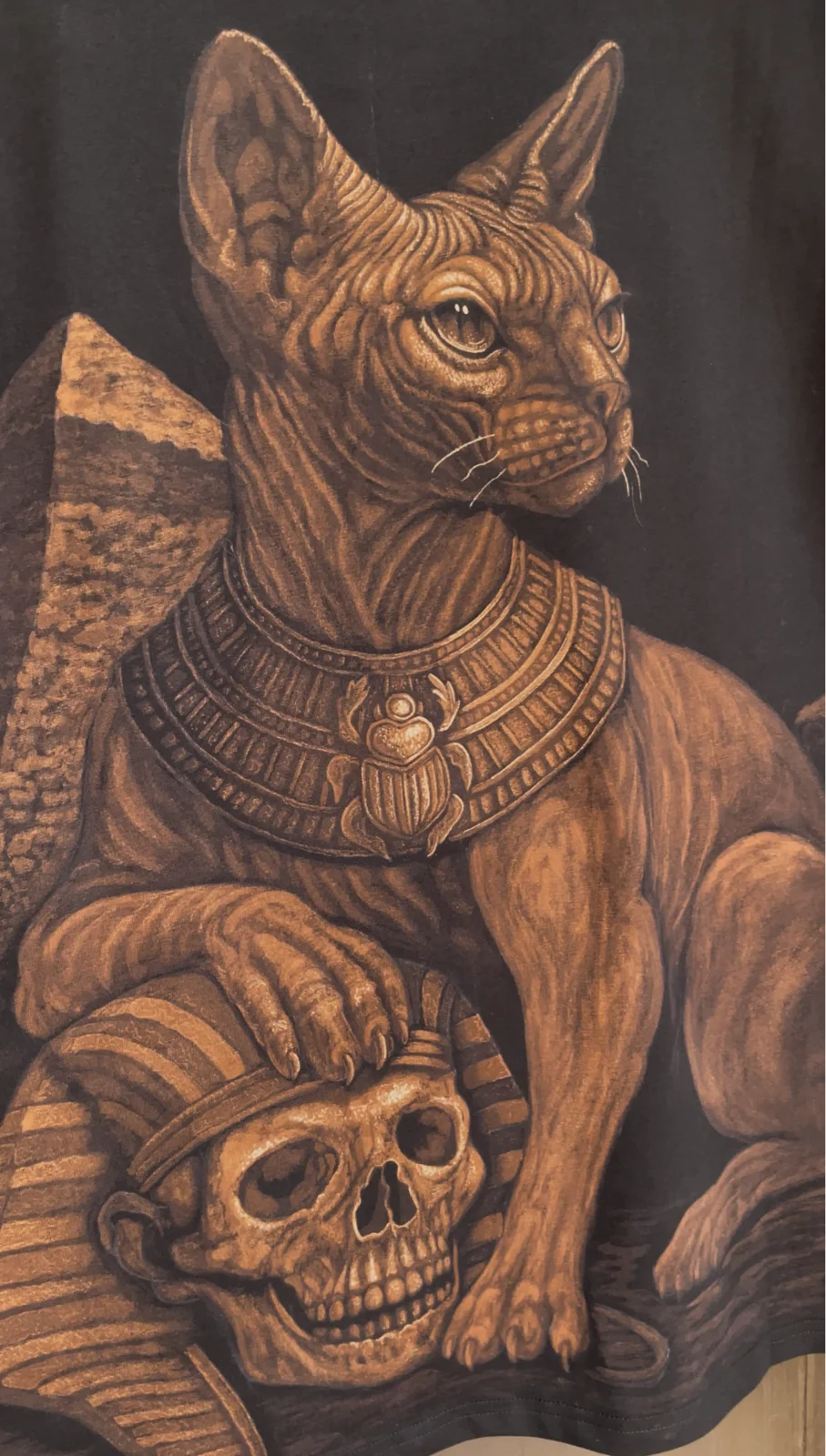 Close-up details of sphynx cat bleach art design on black fabric