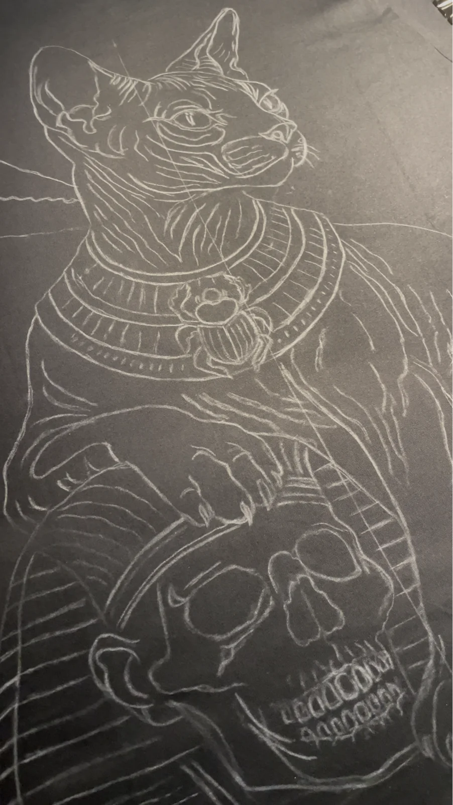 Hand-painted sphynx cat bleach art design on black clothing