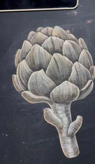 Calligraphic artichoke bleach art illustration with flowing lines