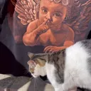 Art process video showing the creation of a cherub bleach art illustration on a t-shirt