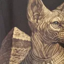 Daylight video showing the Egyptian sphynx cat bleach art design on the back of the t-shirt