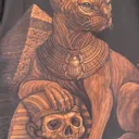 Full creation process video of an Egyptian sphynx cat illustration painted with bleach on a t-shirt